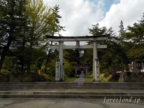 ���ڻ�����