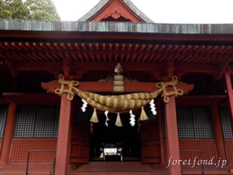 ���ڻ�����