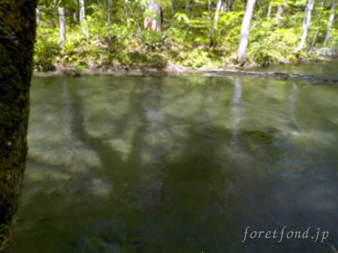 ���ڻ�����