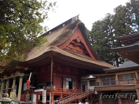 �б���������