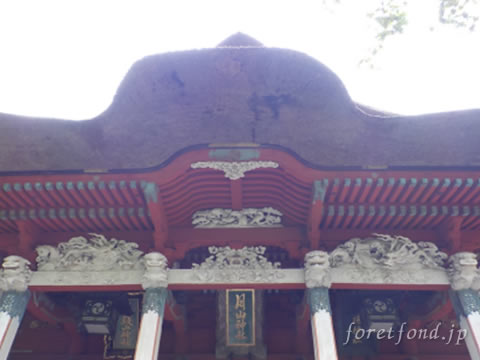 �б���������