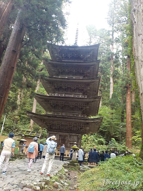 �б���������