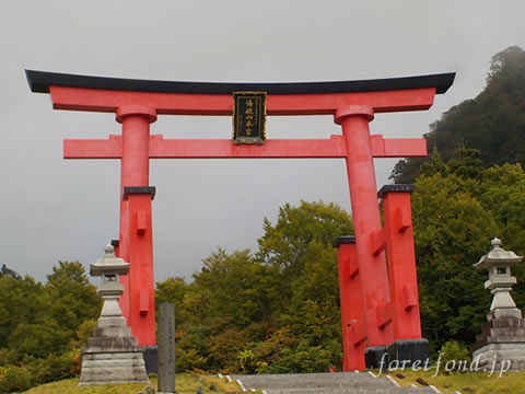 �б���������