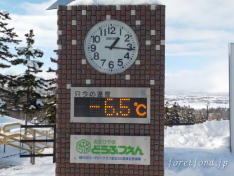 ����ưʪ��