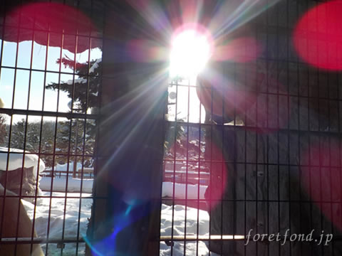 ����ưʪ��