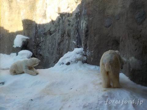 ����ưʪ��