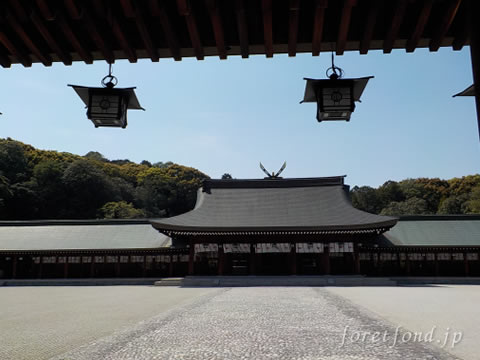 �߸�����