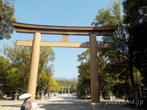 �߸�����