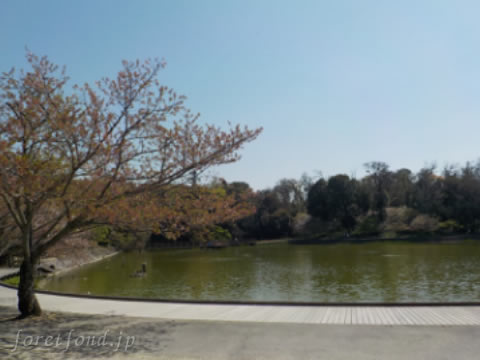 �߸�����