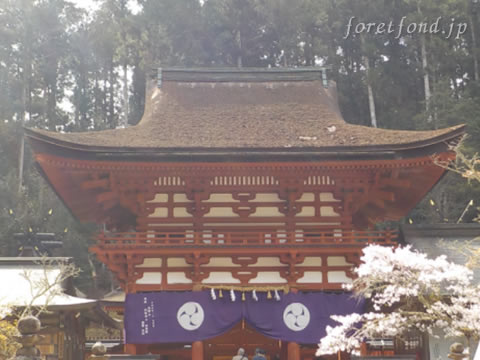 ð�����������