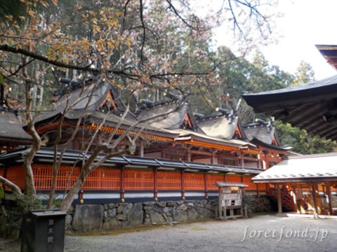 �߸�����