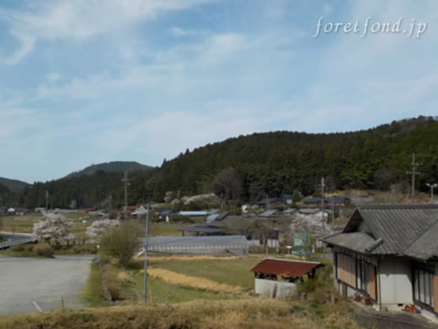 ð�����������