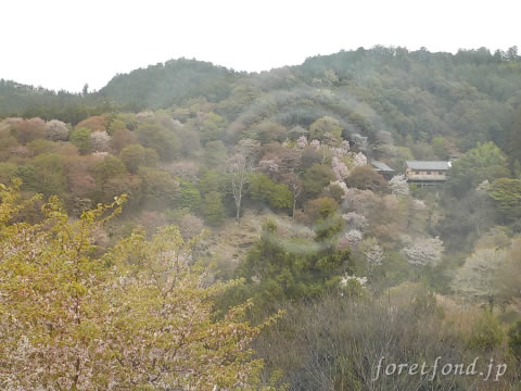 ð�����������