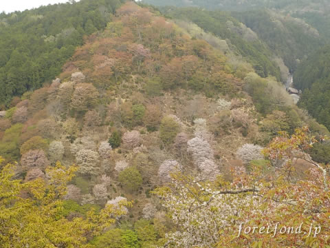 ð�����������