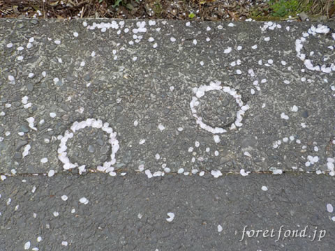 ð�����������