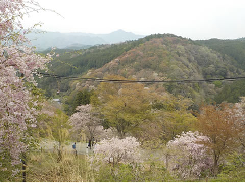 ð�����������