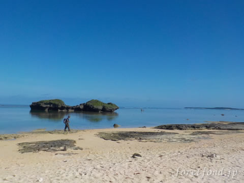 ���κ�������