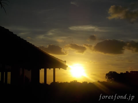 �������ī��