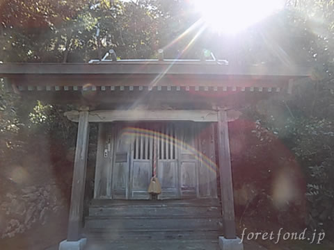 ���ڿ���