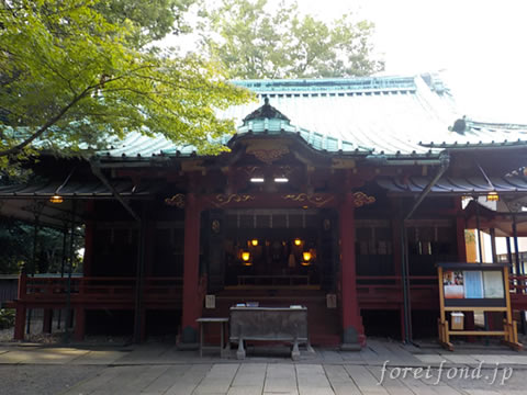 �ֺ�ɹ�����