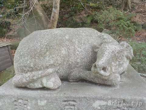 �����ŷ����