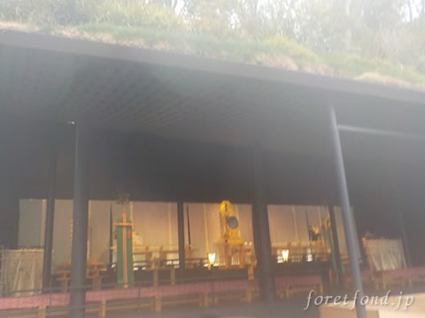 �����ŷ����