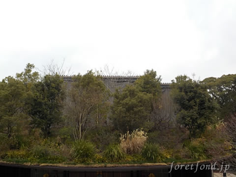 �����ŷ����