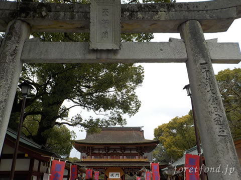 �����ŷ����