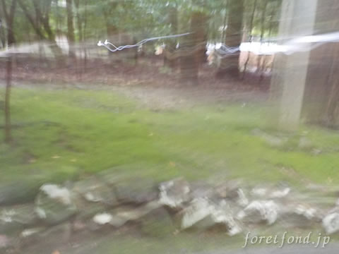 �����ŷ����