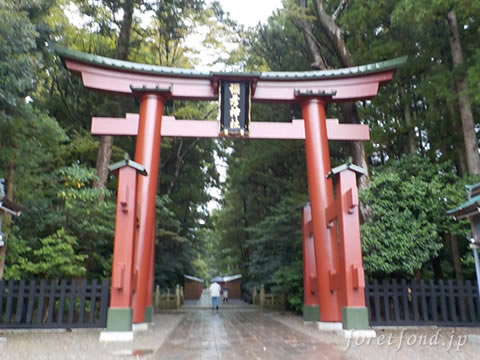 �۸��ܡ���ɧ����