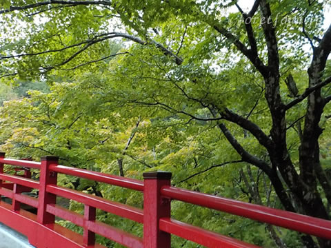 �۸��ܡ���ɧ����