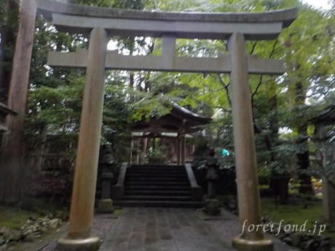 �۸��ܡ���ɧ����