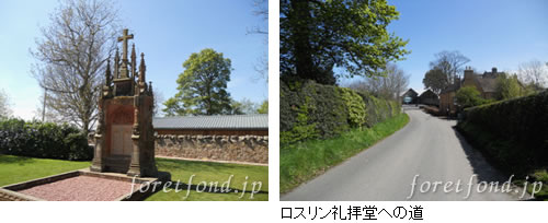 �����������Ʋ