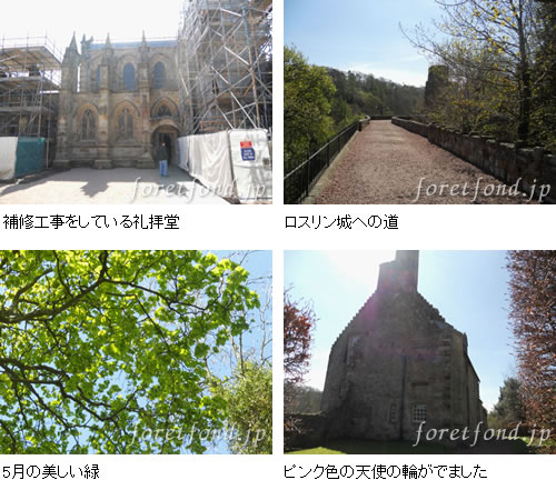 �����������Ʋ