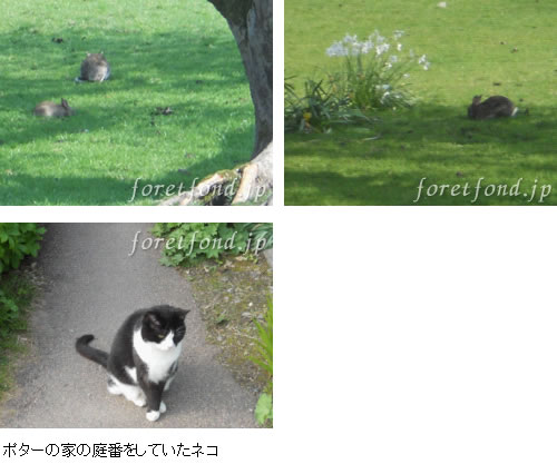 �п������ϥ��󥰥��ɤȥ����åȥ���