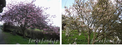 �п������ϥ��󥰥��ɤȥ����åȥ���