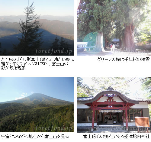 �����ٻ�