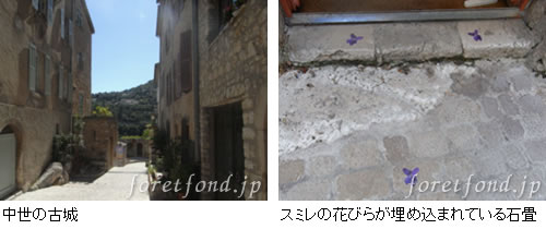 ���ߥ�β֤Ӥ餬�����ޤ�Ƥ����о�