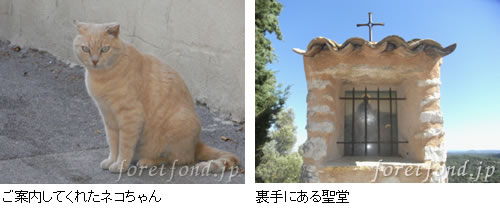 ΢��ˤ�����Ʋ