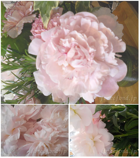 ���㥯�䥯�ι��