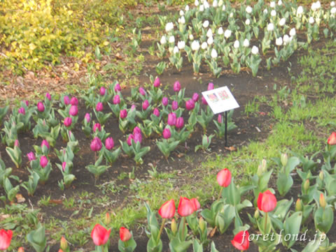 ���塼��å�