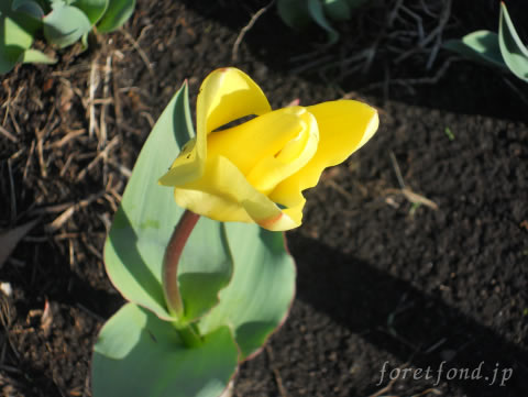 ���塼��å�