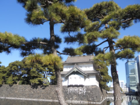 ��������ԥ���