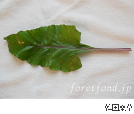 �ڹ�����