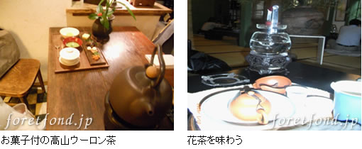 ���ۻ��դι⻳���������㡿�����̣�臘