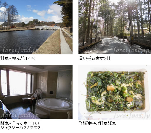 �դ��������