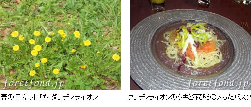 ����ǥ��饤����