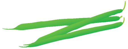 ���䥤�󥲥�