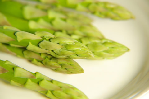 �����ѥ饬��