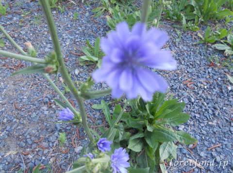 ���å�����